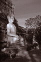 B,geerligs-Buddha in laat avondlicht (zww)