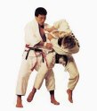 Sportplaten8392-Judo